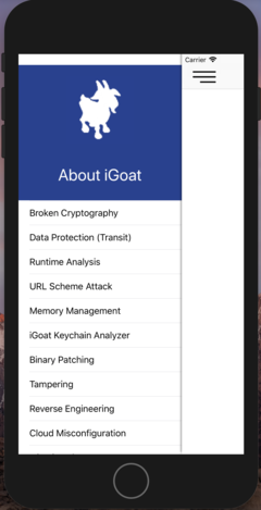 iGoat visualization