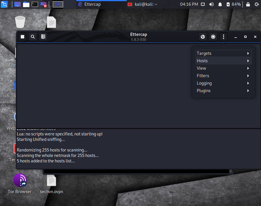 Scanning netmask