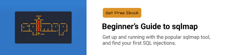 Beginner's Guide to sqlmap ebook