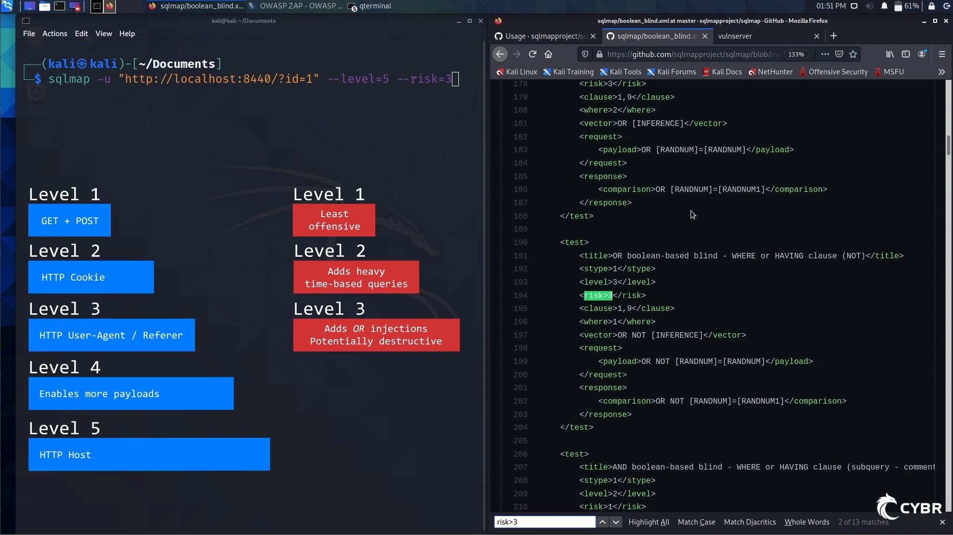 sqlmap options